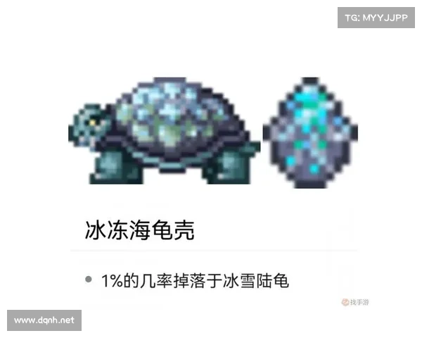 御龙在天弓箭系统最佳应用策略解析与实战技巧分享 御龙在天弓箭系统最佳应用策略解析与实战技巧分享