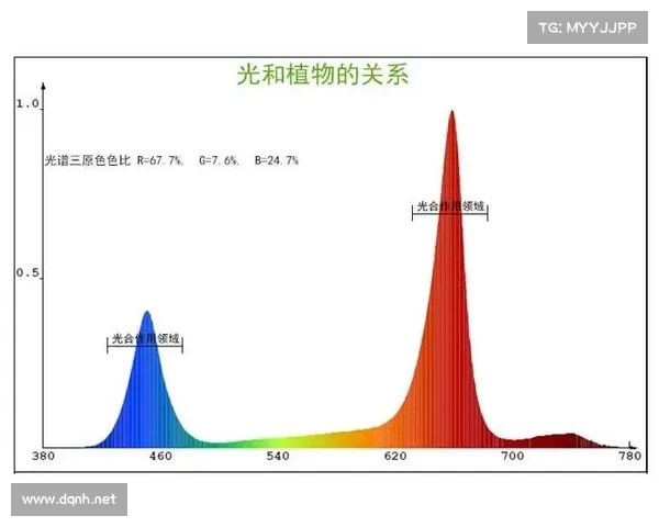 哈弗茨点球无效的原因解析及其对比赛规则的影响